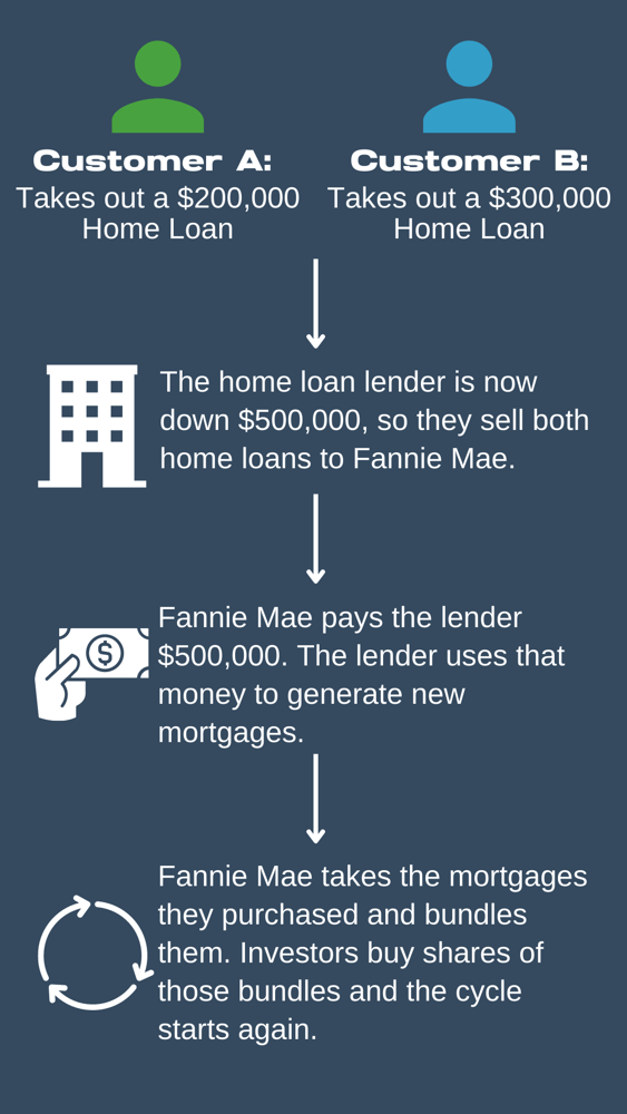 Fannie store mae loans